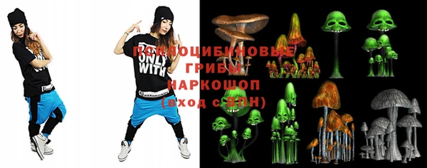 прущие грибы Красноперекопск