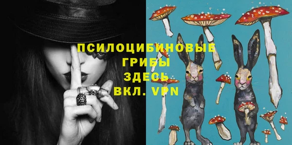 прущие грибы Красноперекопск