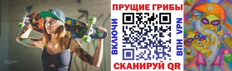 Купить где  Рузаевка  Псилоцибиновые грибы MAGIC MUSHROOMS 